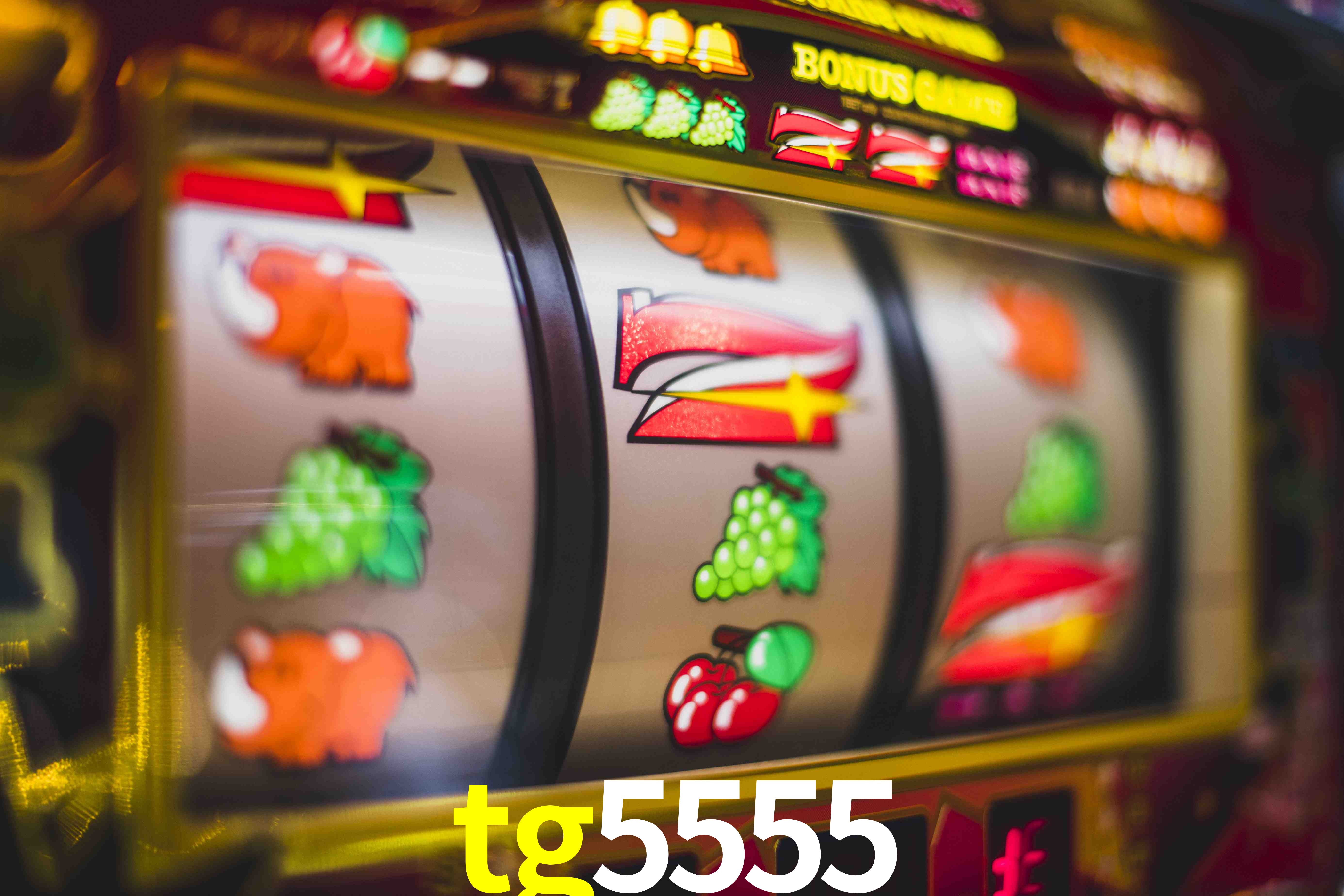 Crash Games Statistics tg5555